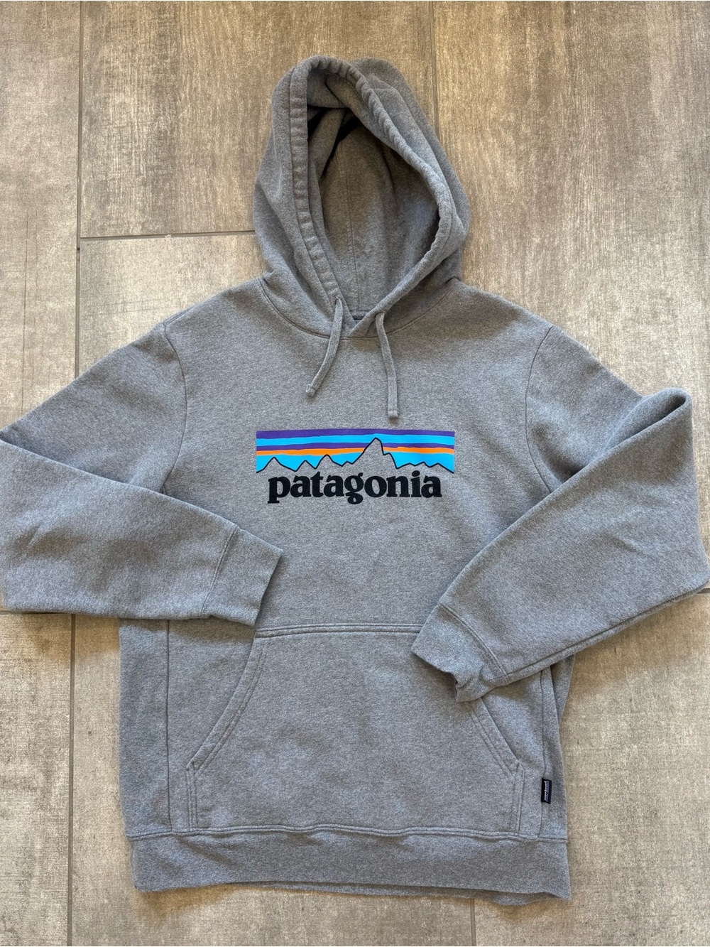 Patagonia Gray Pullover Hoodie with Multicolor Logo